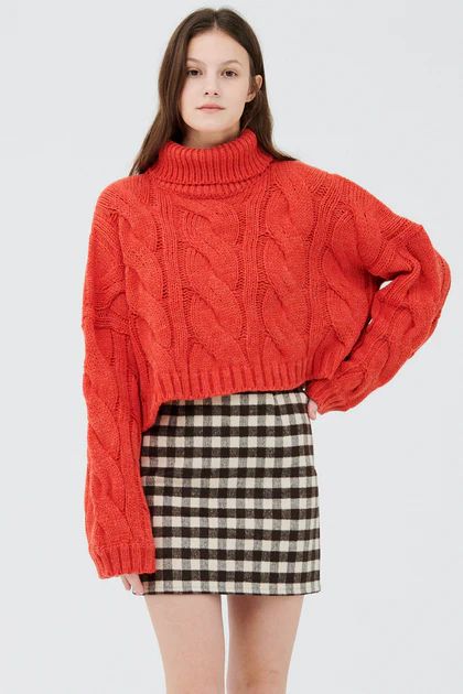 Palo Turtle Neck Cropped Sweater | Storets (Global)