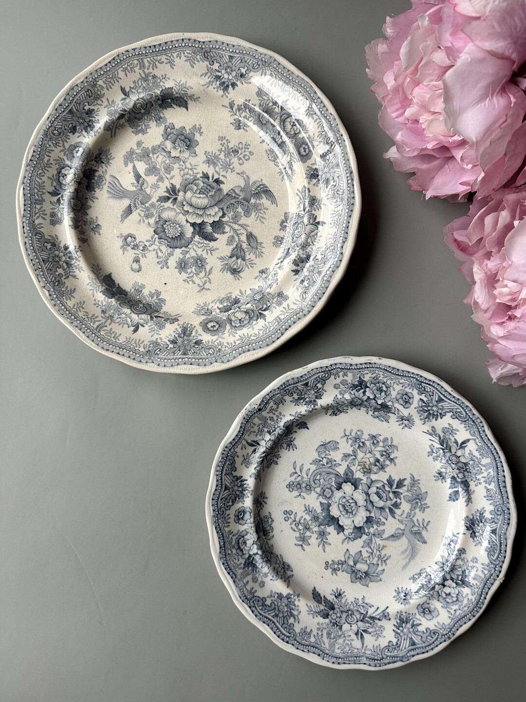 Set of 2 Antique 1890s English Edge Malkin & Co Porcelain Plates / ASIATIC PHEASANTS Pattern / Bl... | Etsy (US)