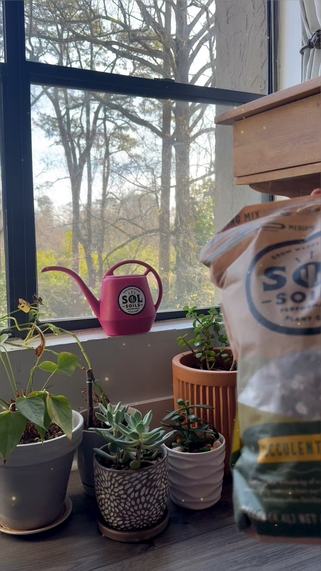 Just because it’s winter doesn’t mean your plants don’t need care! Shop my favorite soil mixes and watch your plants THRIVE! 

#LTKdayinmylife #LTKmomlife #LTKHome