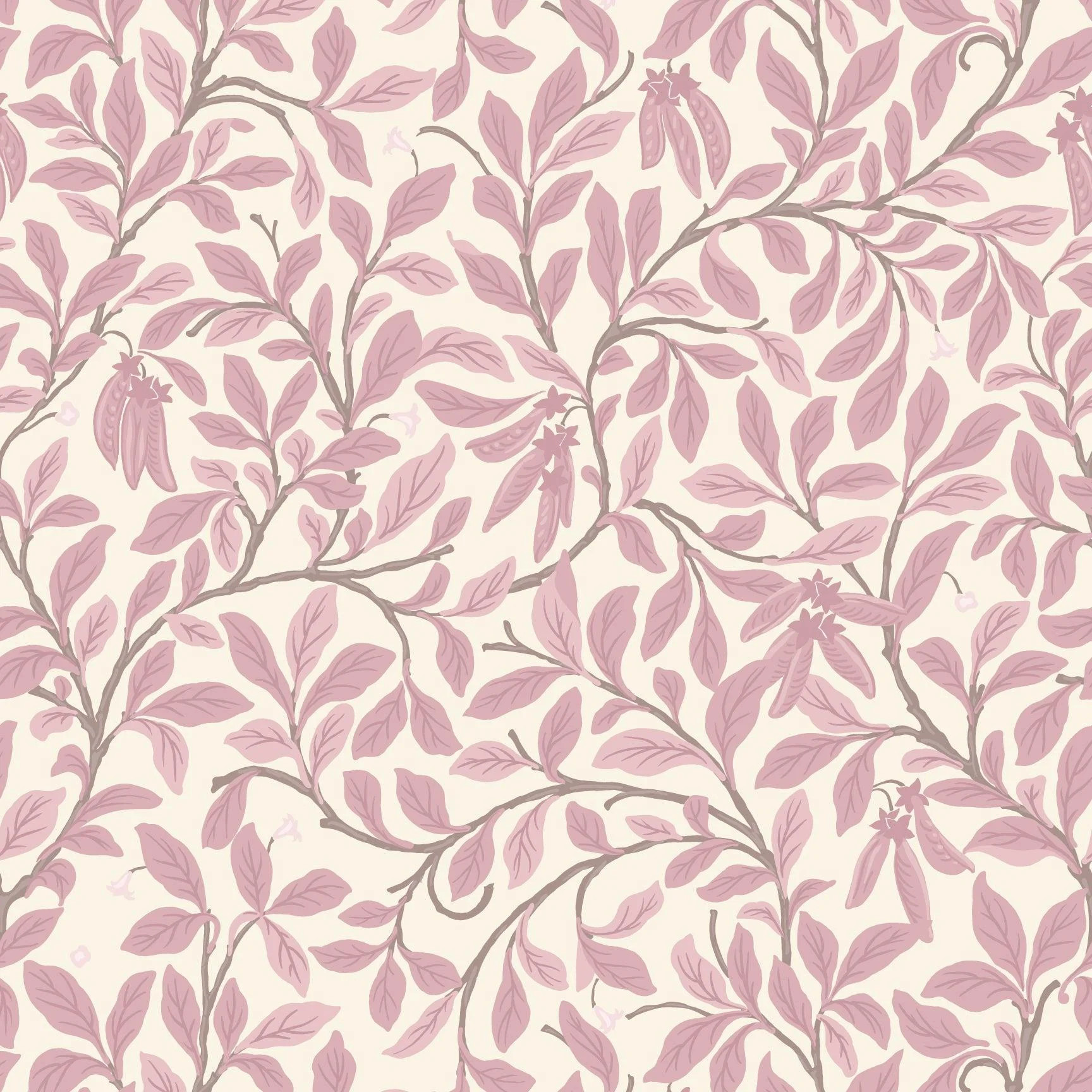 Leaf and Pod - Dusty Blush Wallpaper | Mitchell Black