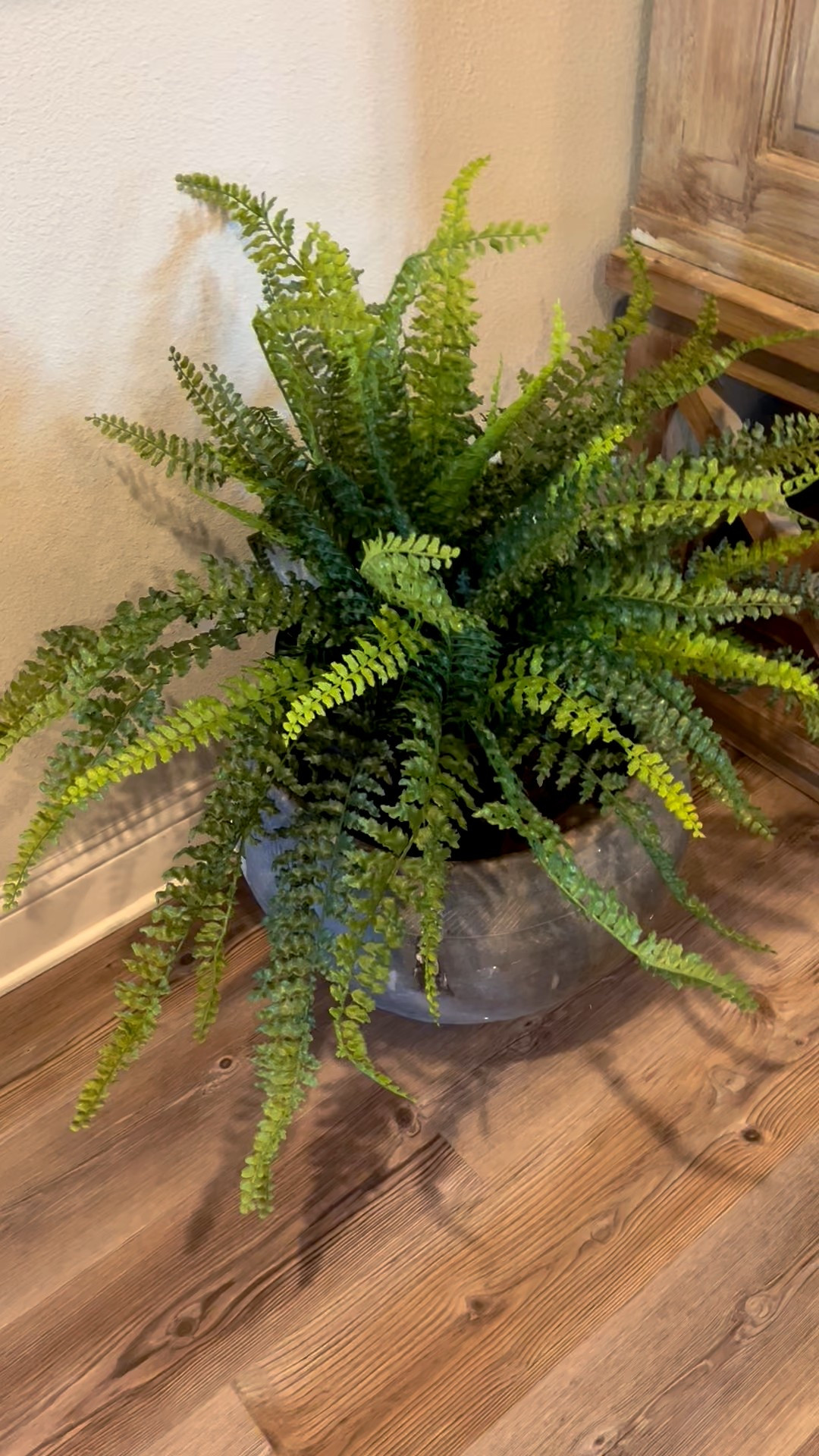 Indoor/outdoor fern very realistic 

#LTKSeasonal #LTKHome #LTKU