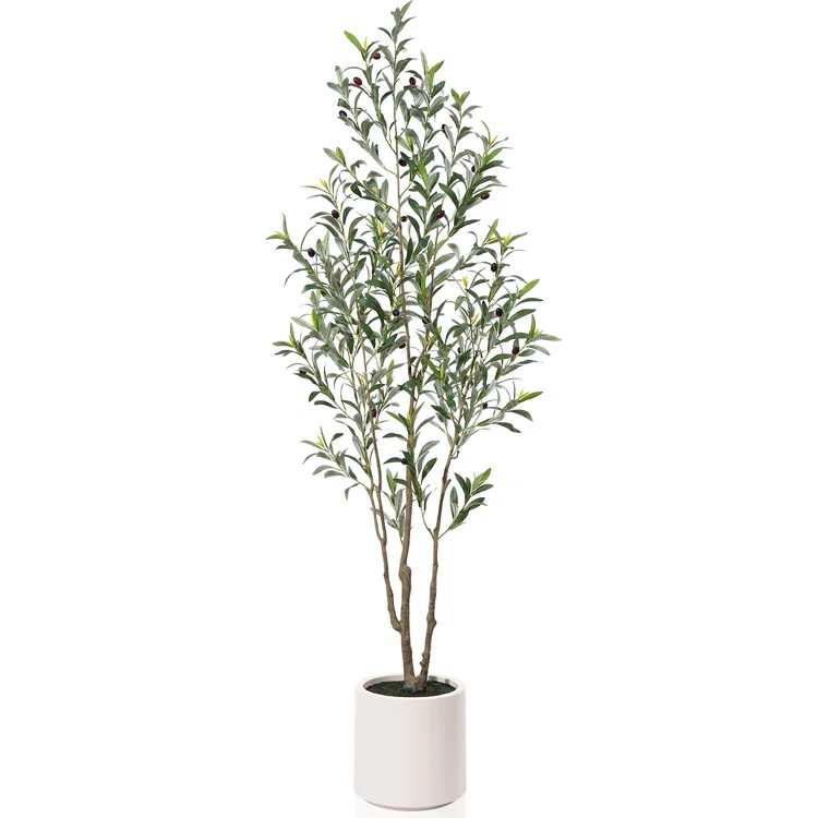 Adcock Faux Olive Tree in White Planter, Lifelike Fake Olive Plant for Indoor and Outdoor Decor | AllModern