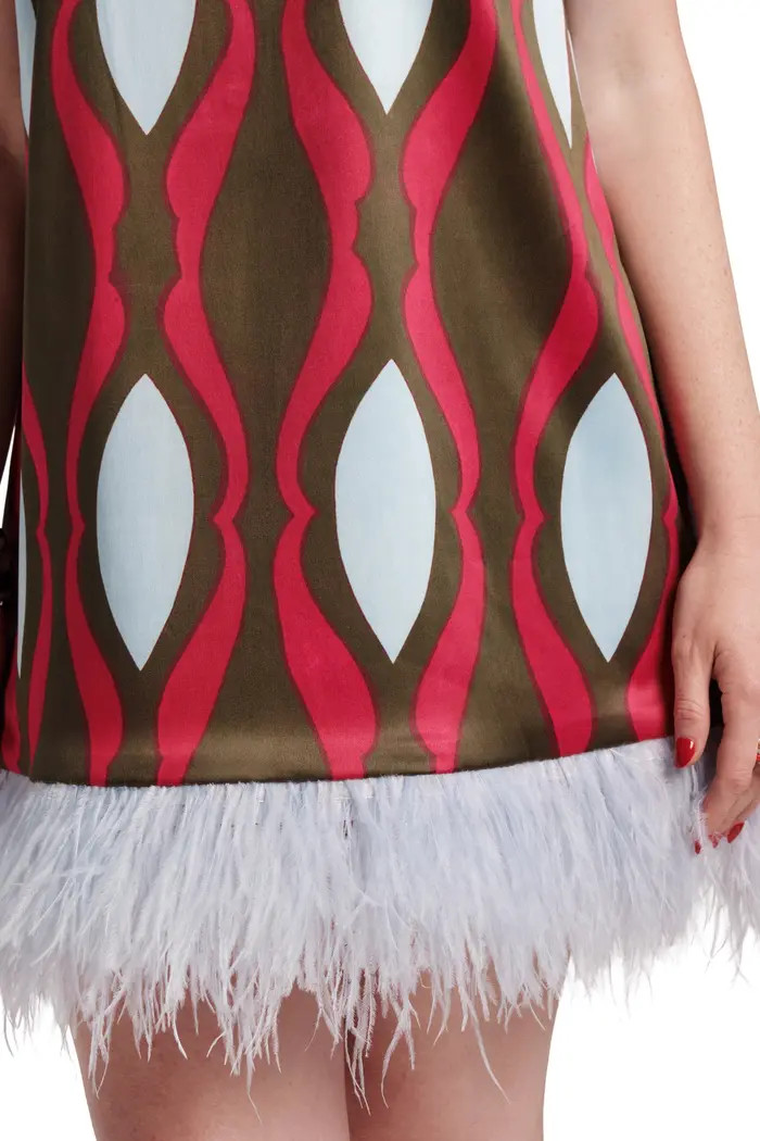 Darcy Shift Dress w/Feathers | Nordstrom