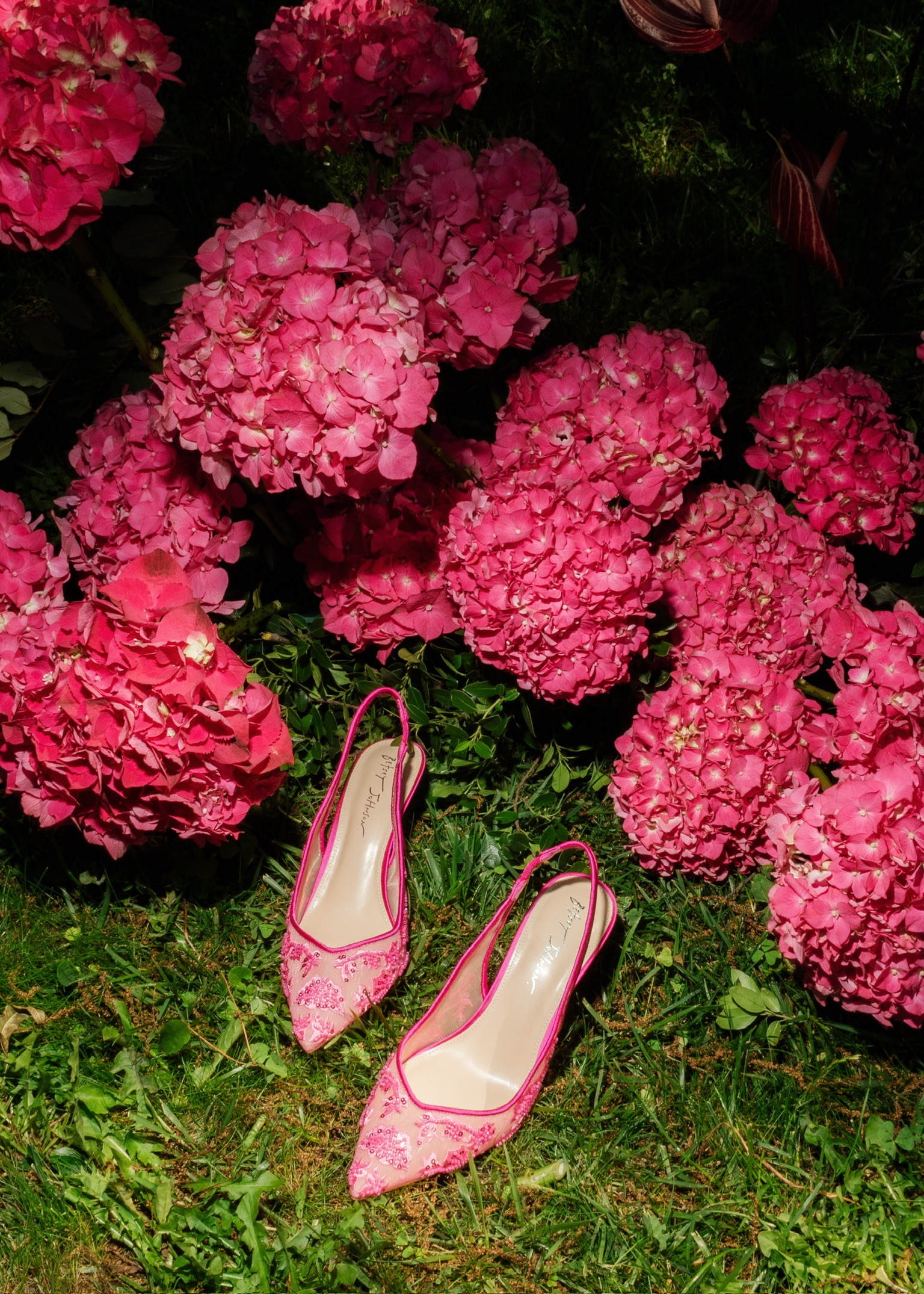 ✨The Shoe✨💖

#LTKStyleTip #LTKWedding #LTKShoeCrush