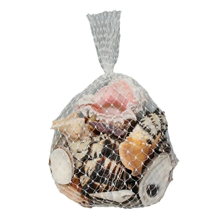 A Mix Of Seashells In Assorted Sizes | Walmart (US)