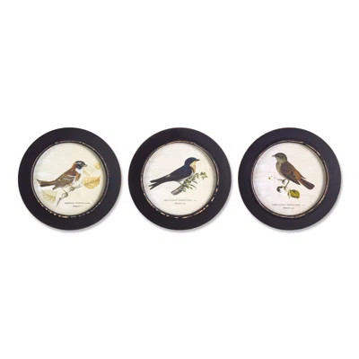 Wood Framed Encyclopedia Bird Print (Set of 3) 9.5"D-74333DS | Wayfair North America