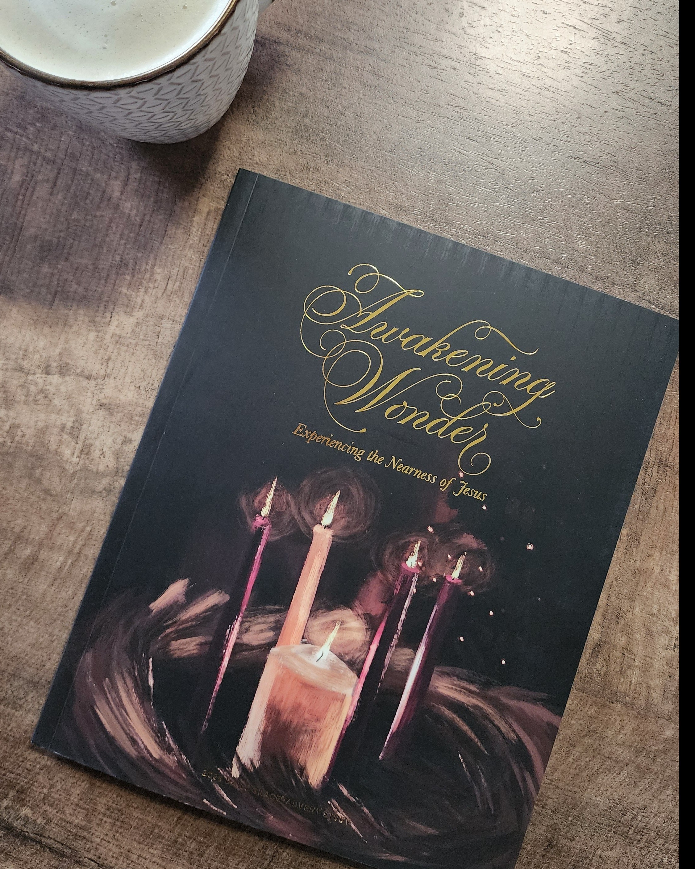 This is the advent study im doing with the kids this year 🤍 will share a vid later 🫶 but they're having a black friday sale rn plus u get a free gift, check it out!! I love their material. 

#LTKHoliday #LTKmorningroutine #LTKSeasonal