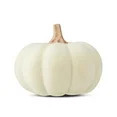 Harvest Cream Flocked Resin Pumpkin Decoration, 9 in, by Way To Celebrate | Walmart (US)