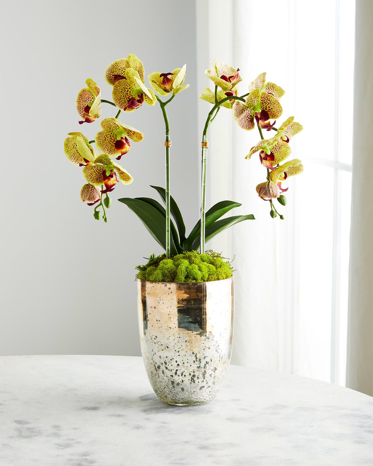 Double Orchid in Champagne Gold Glass | Neiman Marcus