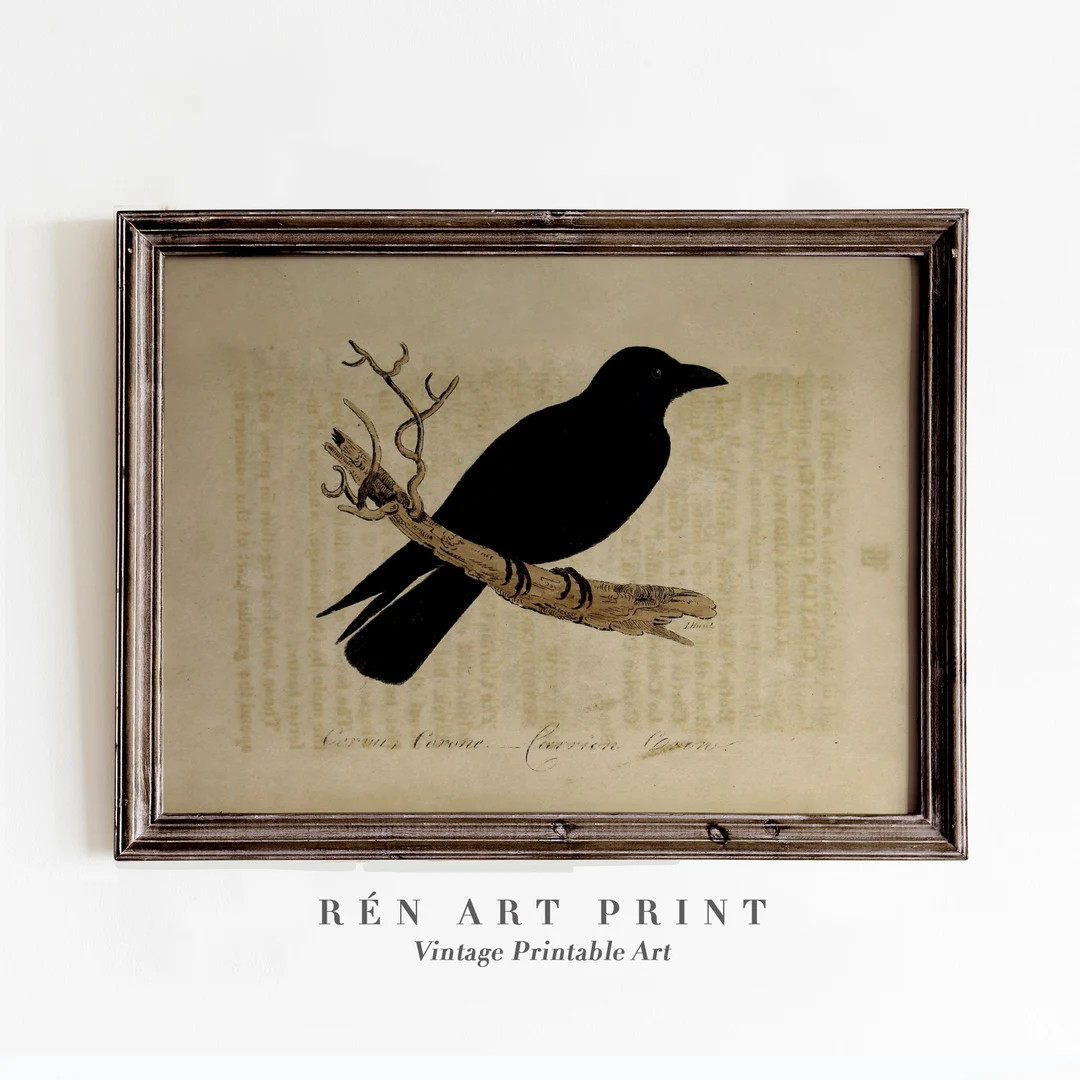 Antique Raven Print | Digital Download | Vintage Crow Drawing Printable Art | Dark Academia Wall ... | Etsy (US)