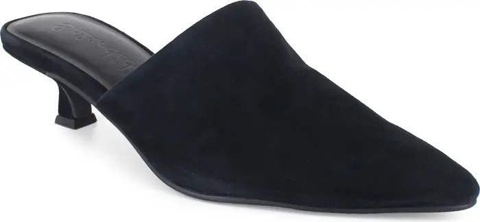Louisa Pointed Toe Mule (Women) | Nordstrom