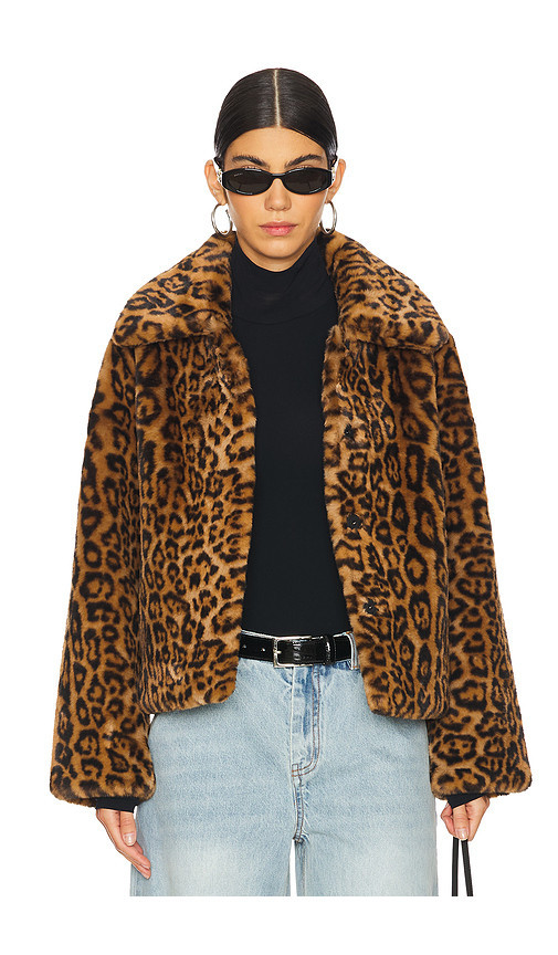 Apparis Elis Leopard Short Coat in Leopard. Size L | Revolve Clothing (Global)