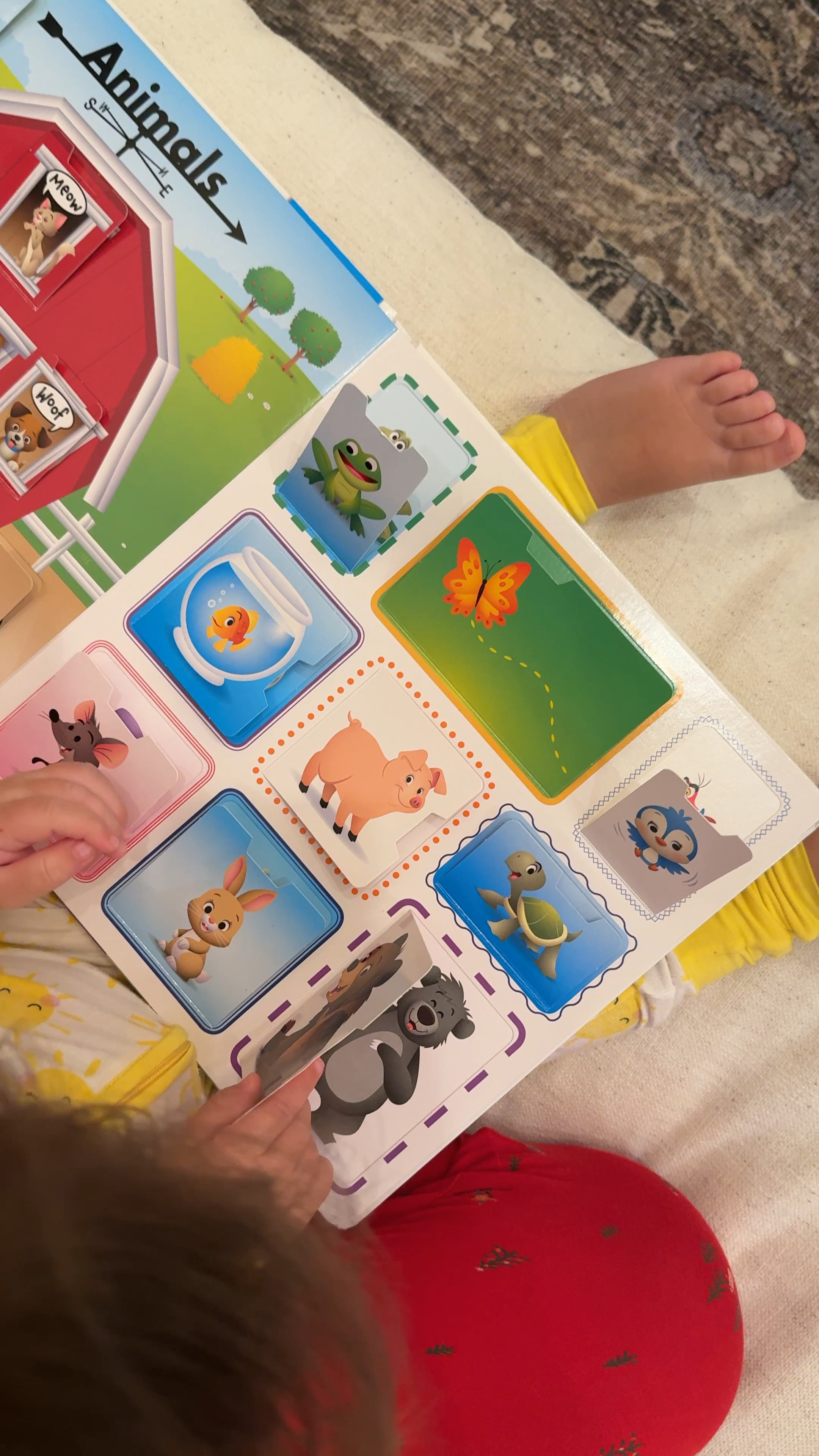 Best book to teach babies their first words! This flap picture book by disney is Teddi’s favorite and she has learned so many words from it before 2 years old! 

#LTKBaby #LTKKids #LTKGiftGuide