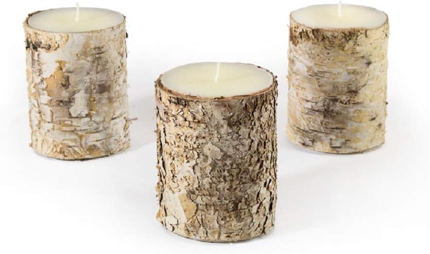 Serene Spaces Living Birch Bark Candle, Medium Size – Pillar Style Candle Brings Nature Indoors... | Amazon (US)