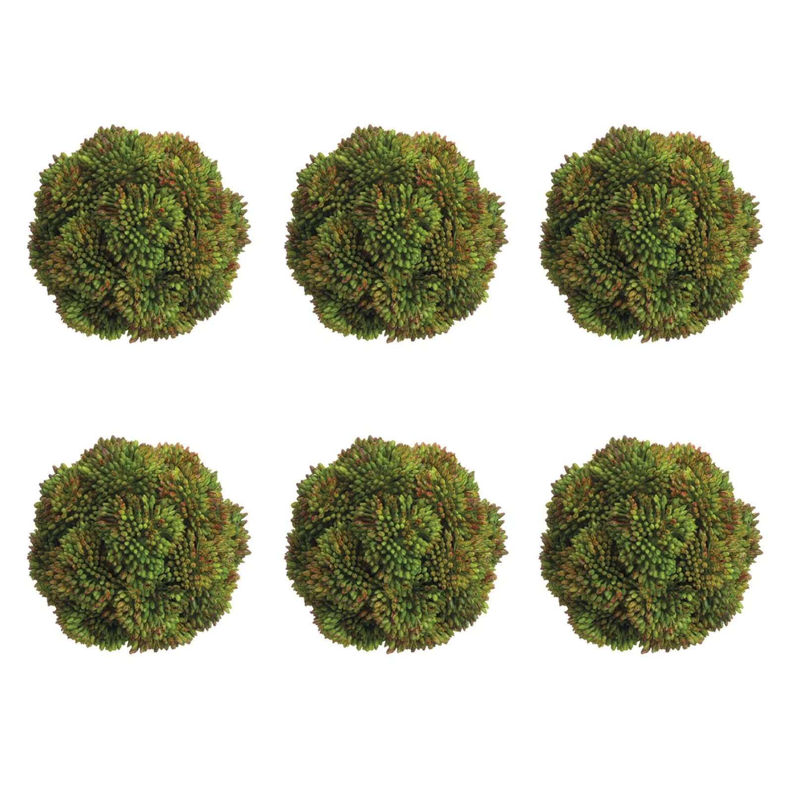 Decorative Sedum Balls (Set of 6) | Wayfair North America