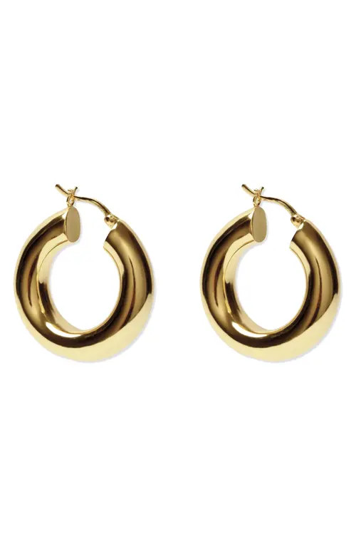 Argento Vivo Sterling Silver Chunky Hoop Earrings in Gold at Nordstrom | Nordstrom