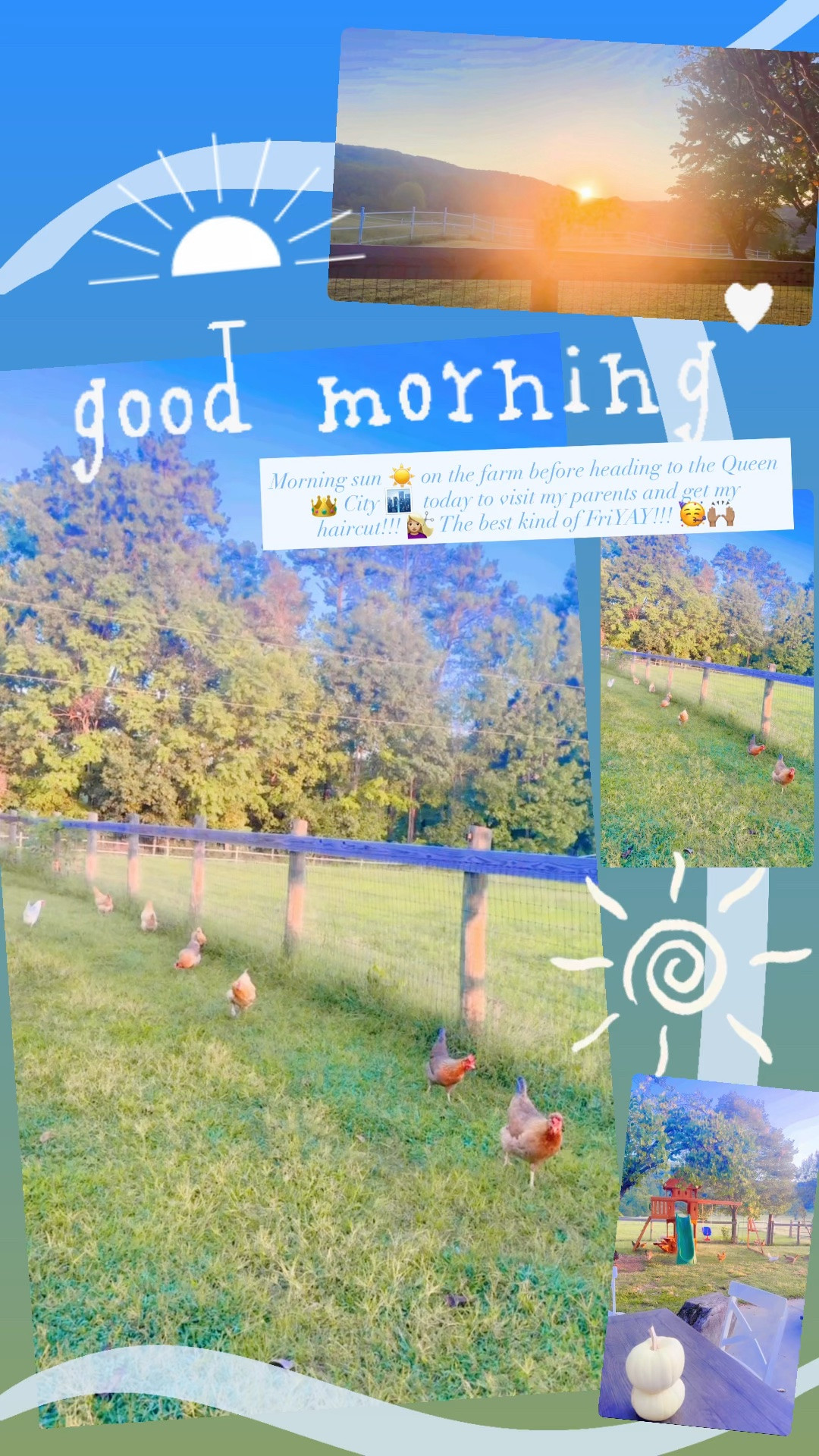 Morning sun ☀️ on the farm before heading to the Queen 👑 City 🏙️  today to visit my parents and get my haircut!!! 💇🏼‍♀️ The best kind of FriYAY!!! 🥳🙌🏽