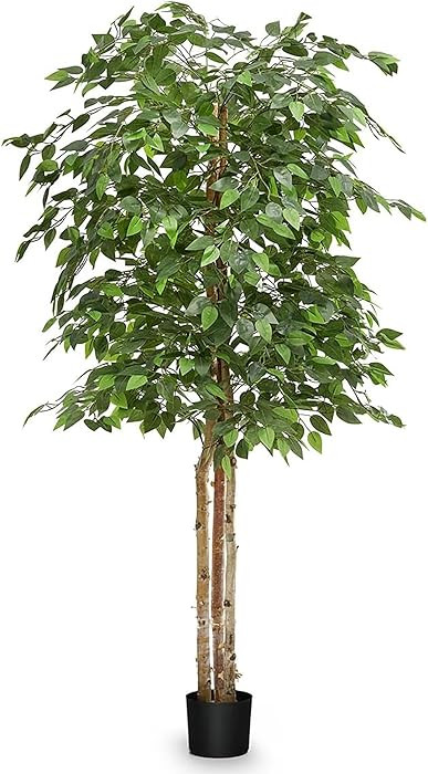 Maia Shop 71in Artificial Ficus Tree Plant for House, Apartment or Office – Realistic Fake Indo... | Amazon (US)
