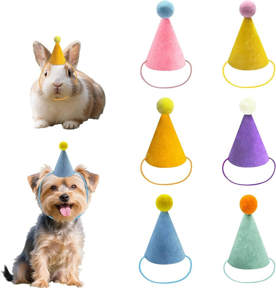 6 Pcs Colorful Mini Party Hats for Stuffed Animals, Birthday Party Felt Cone Hat for Cat Dolls Do... | Amazon (US)