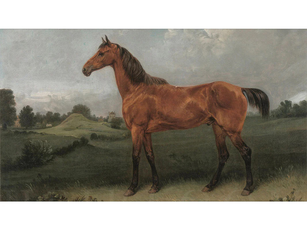 Bay Horse Frame TV | Heirloom Print Shop