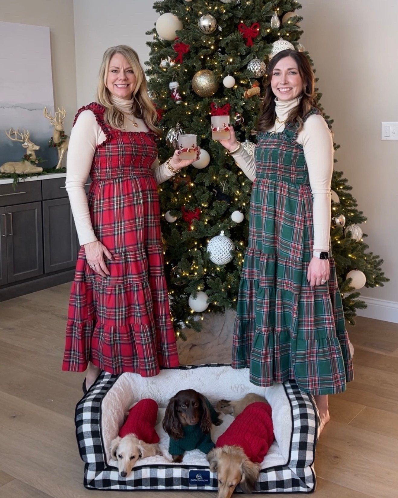 Enjoying our beautiful 9ft. King of Christmas Aspen Fir tree with our little Doxie decorators on duty! 🎄🐶🐾
