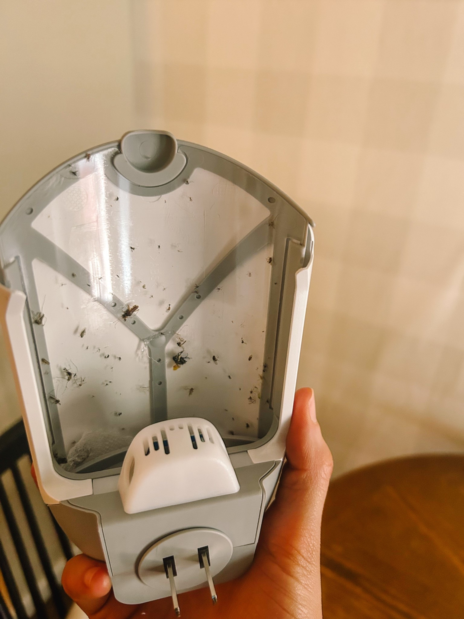 These have changed our bug free lives!!! Not just flies but all the little tiny things that you can’t ever catch!

Bug trap, zevo, fly catcher

#LTKFamily #LTKKids #LTKHome