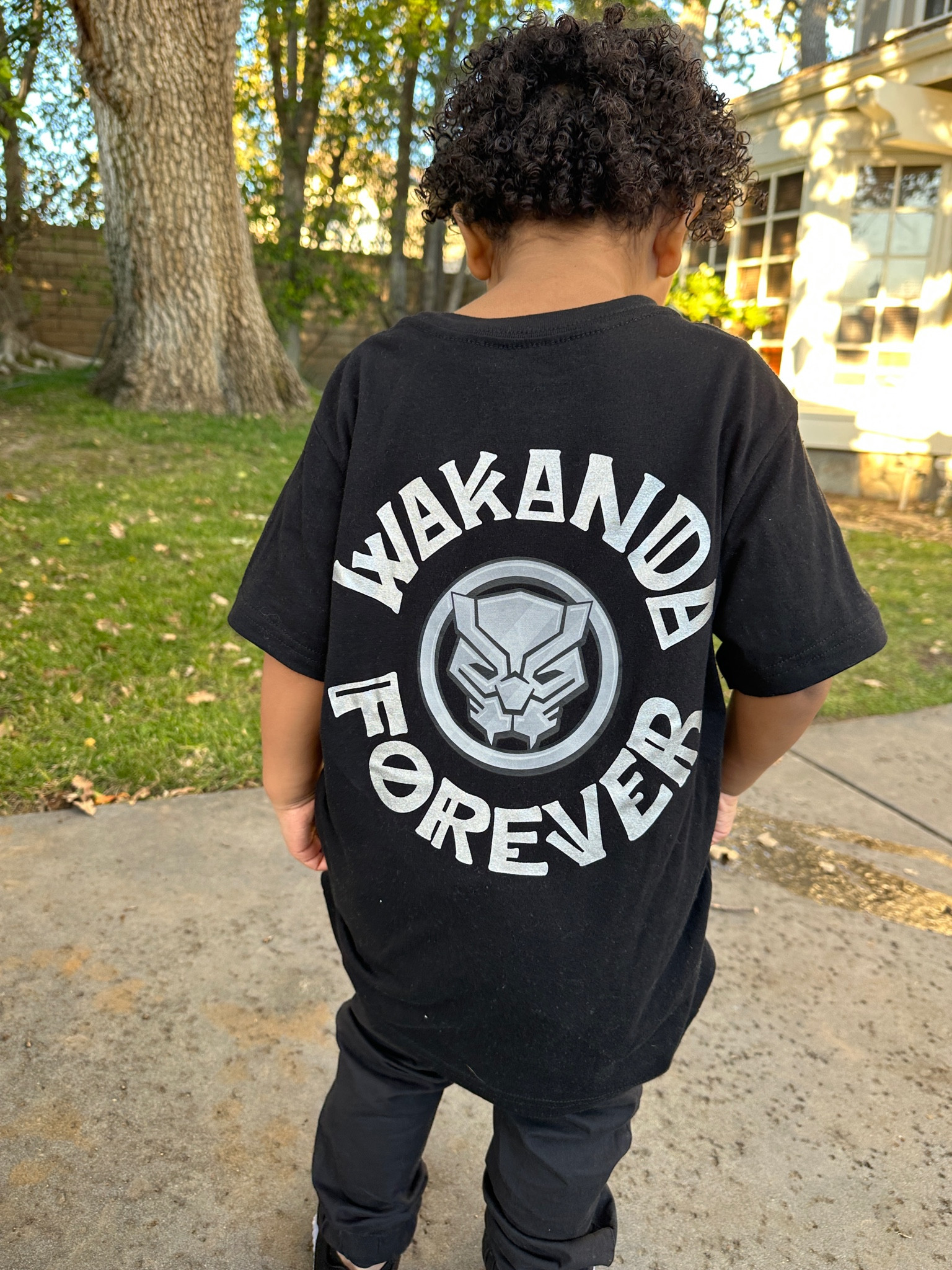 WAKANDA FOREVER Black Panther t-shirt for toddler boys from Target 

#LTKfamily #LTKkids #LTKbaby