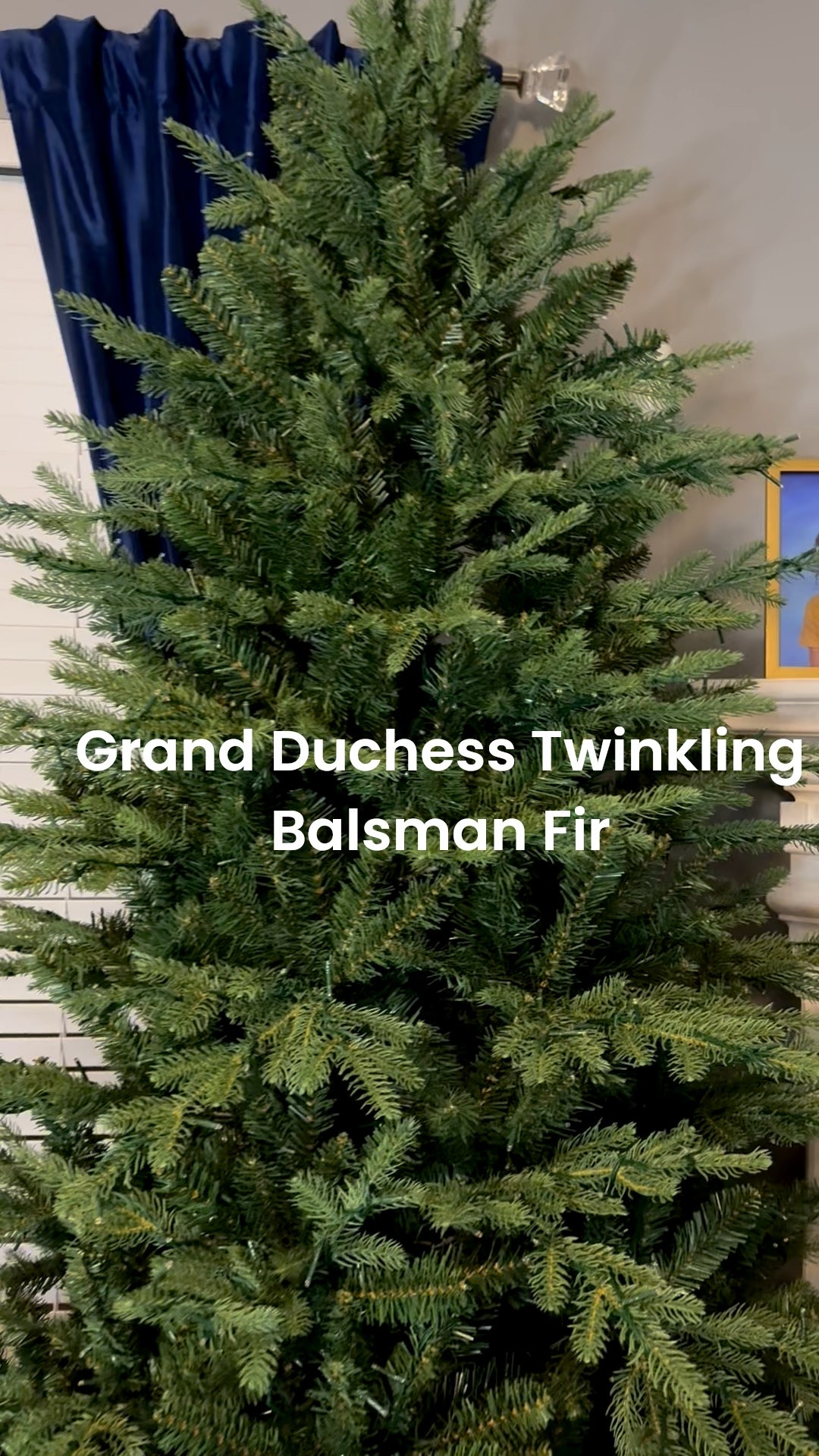 The beautiful Grand Duchess TWINKLING Balsam Fir is in stock at Home Depot. RUNNNNN before it sells out  

#LTKSeasonal #LTKHome #LTKHoliday