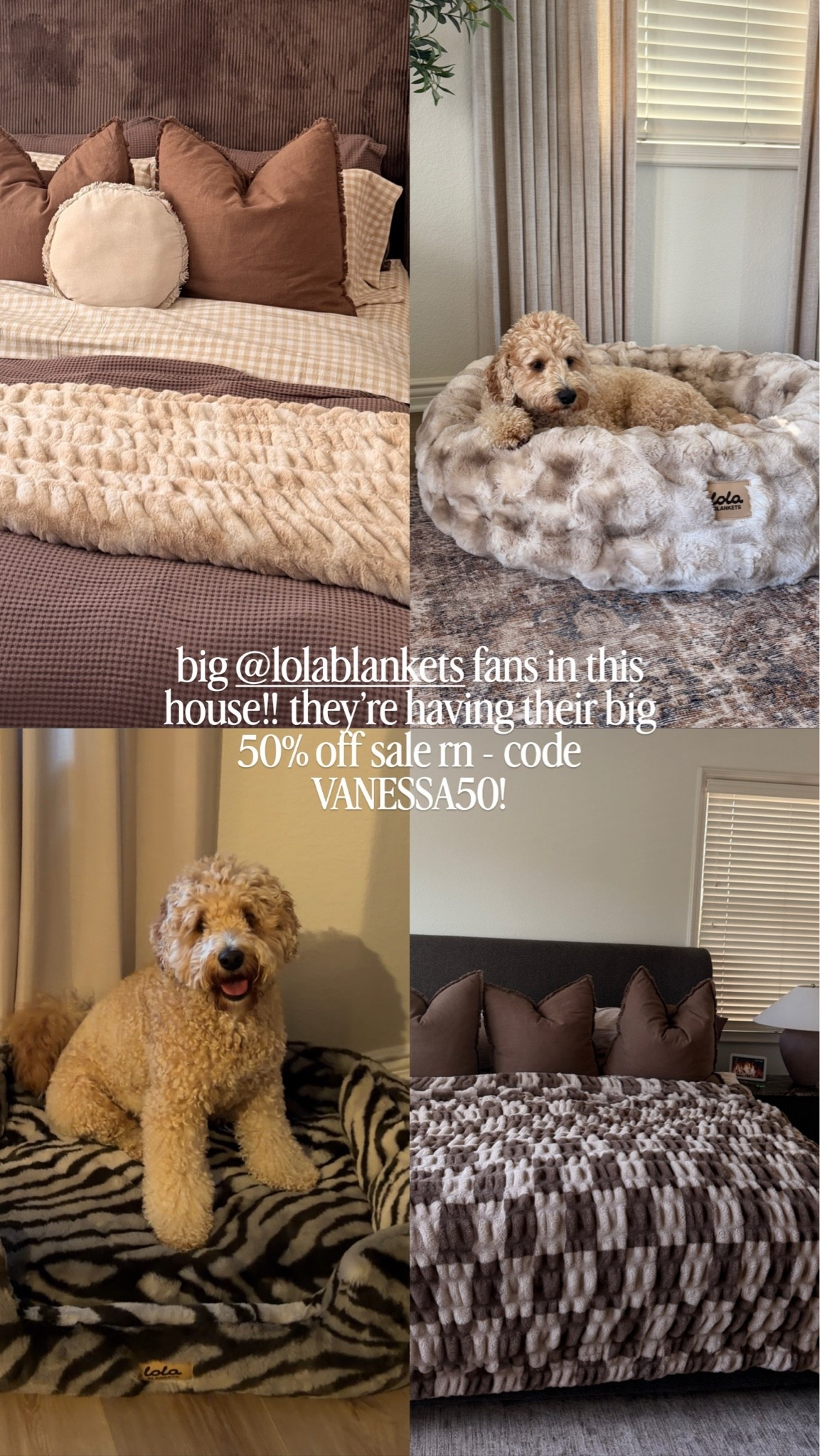 Lola blankets are currently 50% off - use code VANESSA50

#LTKHome #LTKdayinmylife #LTKSeasonal