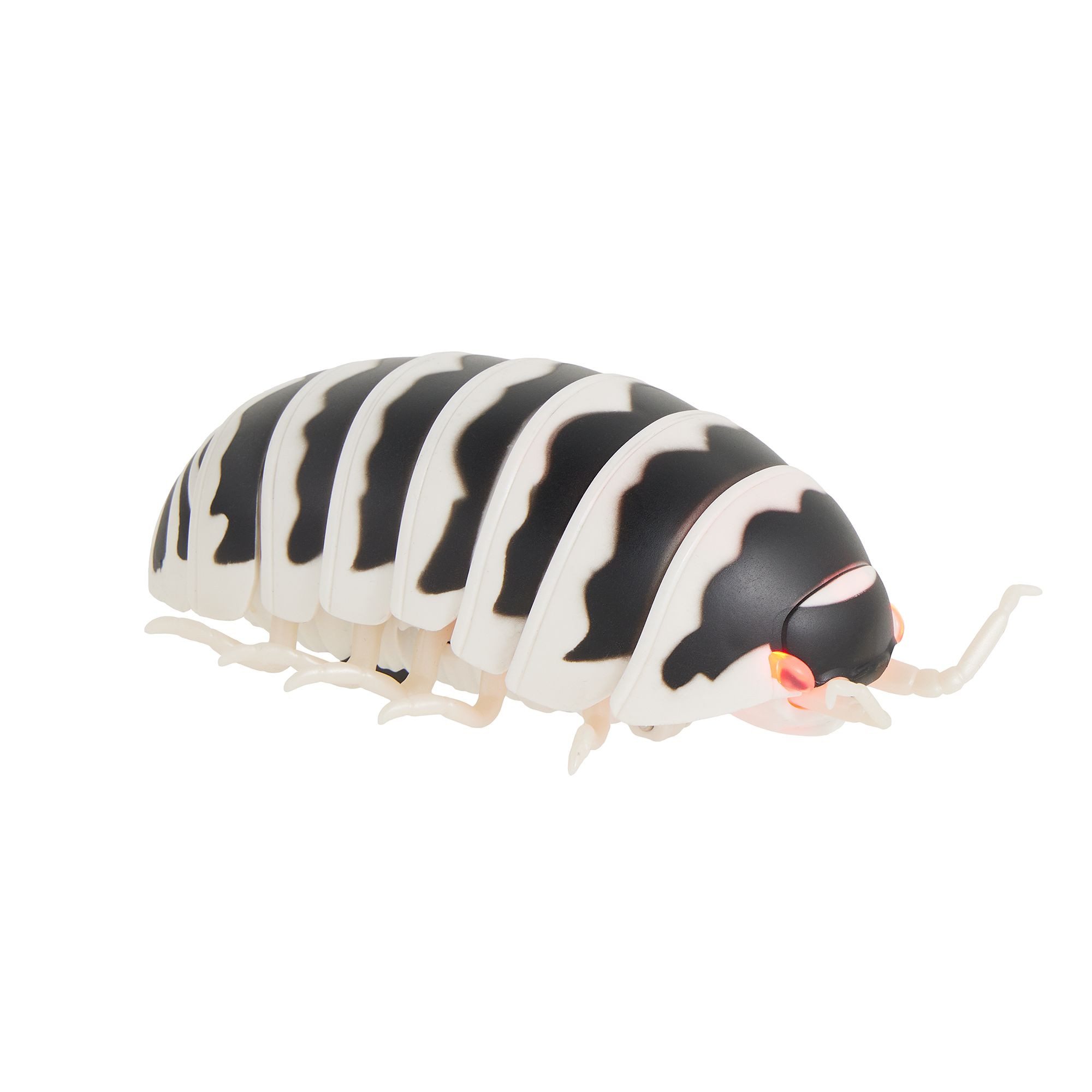 Whisker City® Light-Up Doodlebug Electronic Beetle Cat Toy | PetSmart