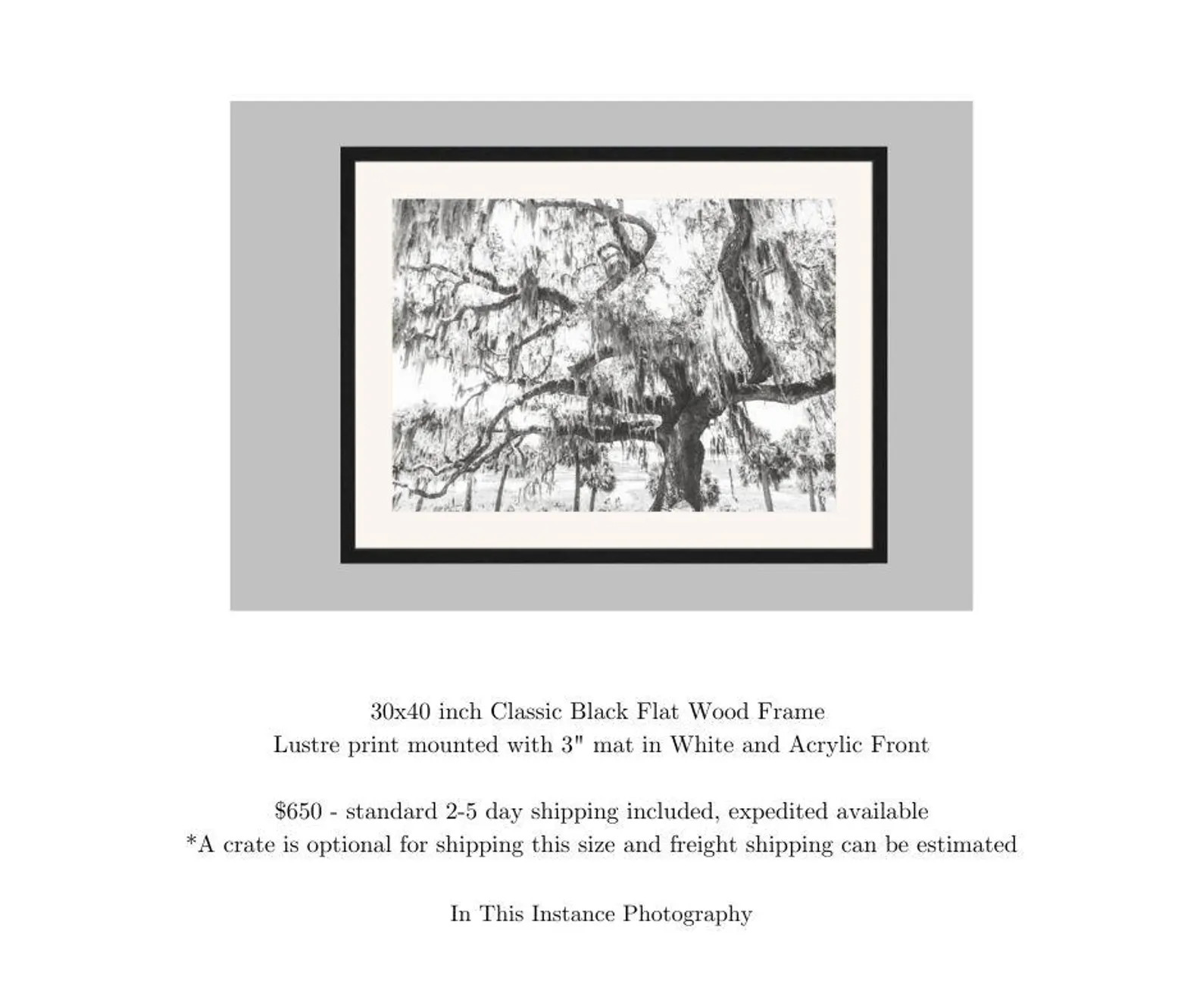 Framed Print, Carolina Coastal Oak - Etsy | Etsy (Global)