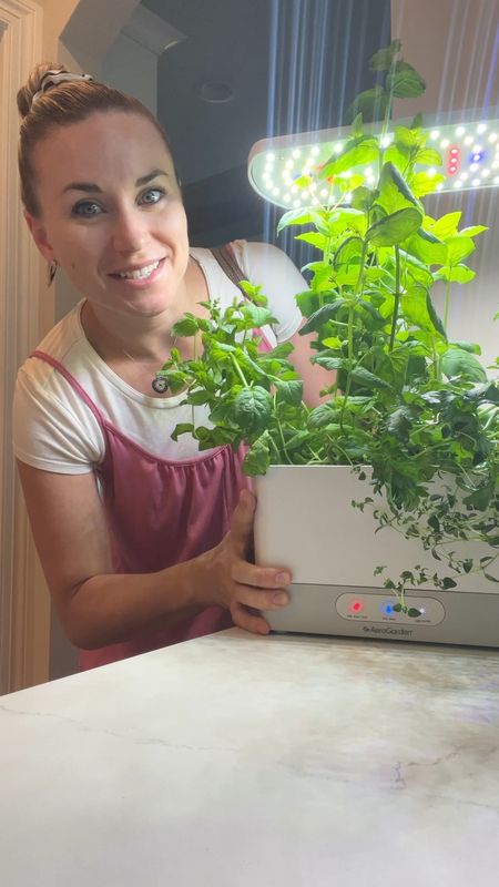 Look at how it’s grown!! 

I love my aero garden for herbs- it seriously is the easiest way to keep them alive and thriving! It is finally time to replant them however so stay tuned for what we plant next! 


#LTKFamily #LTKHome #LTKKids