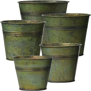 Briful 5 Size Galvanized Buckets Rustic Farmhouse Metal Bucket Galvanized Flower Bucket Plants Po... | Amazon (US)