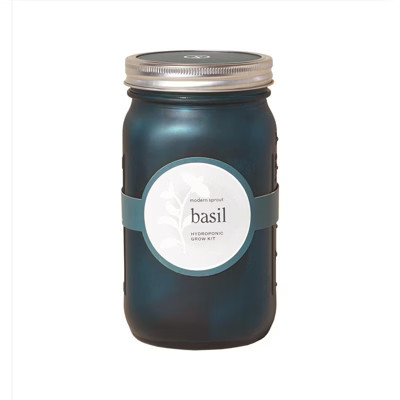 Modern Sprout Basil Grow Kit 1 pk | Target