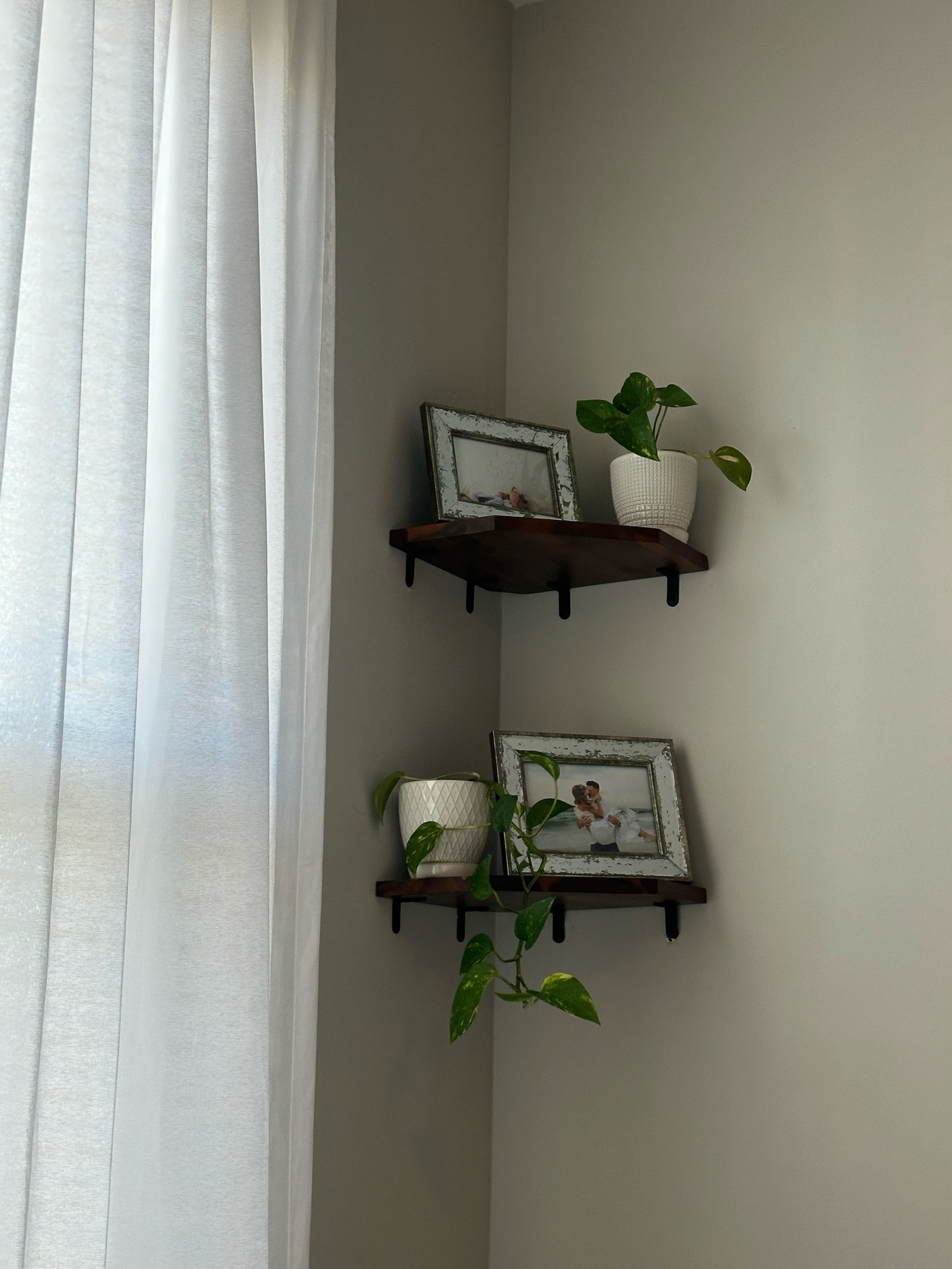home decor!! plants and acacia shelves & picture frames :) subtle little cozy touches your home! 

#LTKFamily #LTKGiftGuide #LTKHome