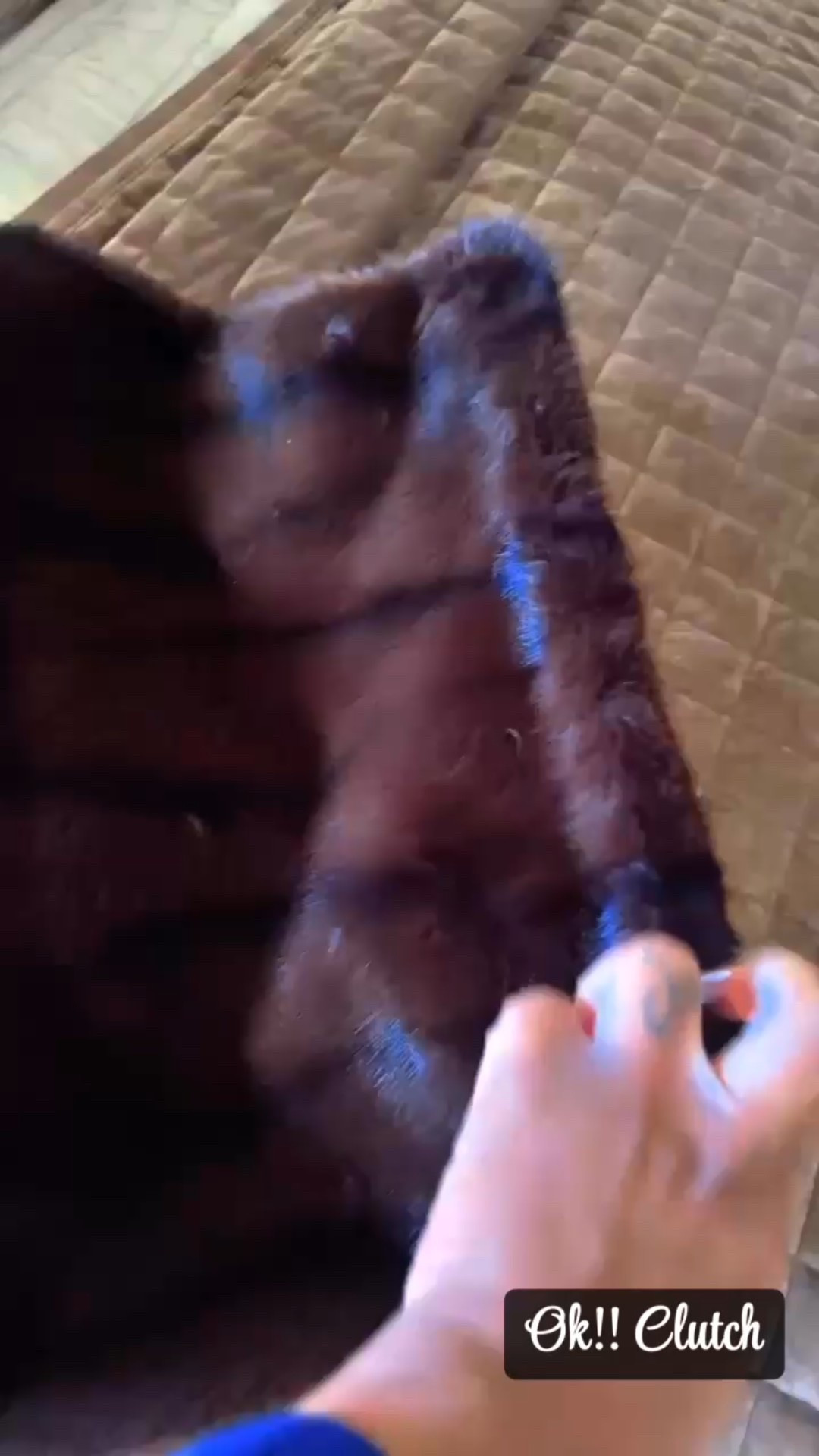 Large Clutch!! 

#LTKSeasonal #LTKOver40 #LTKStyleTip