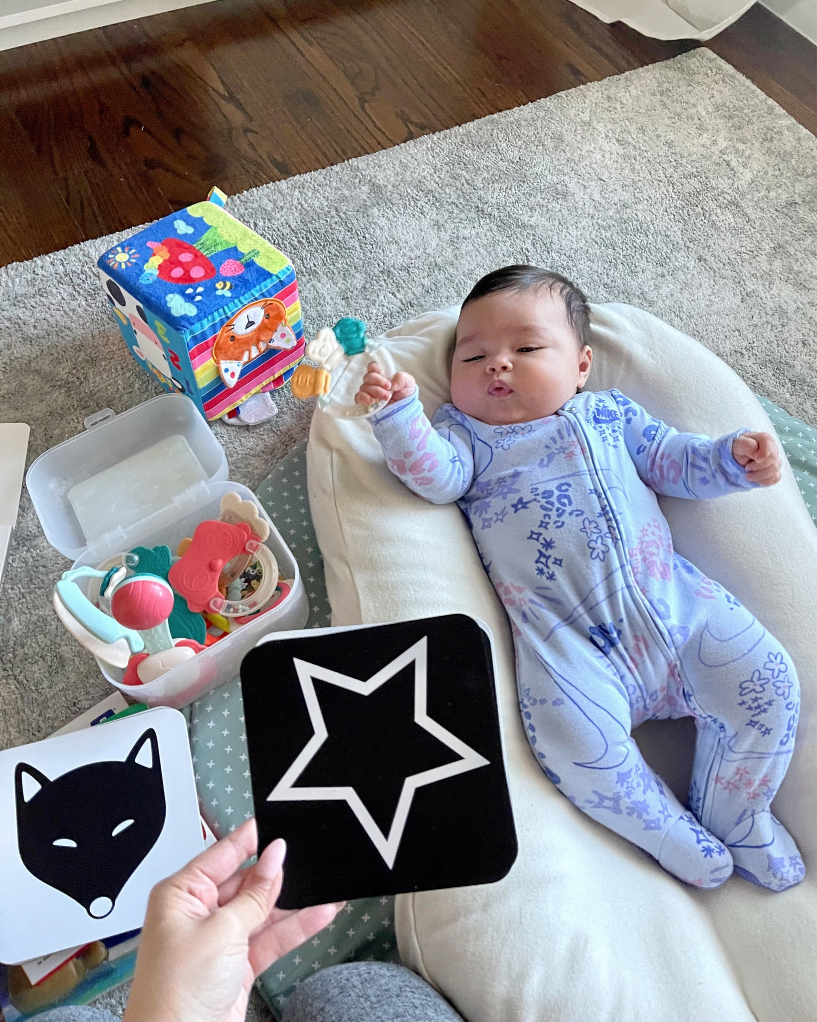 Baby Visual Stimulation cards that we’ve used from 3-18 months. Loved these!

#LTKbaby #LTKfamily