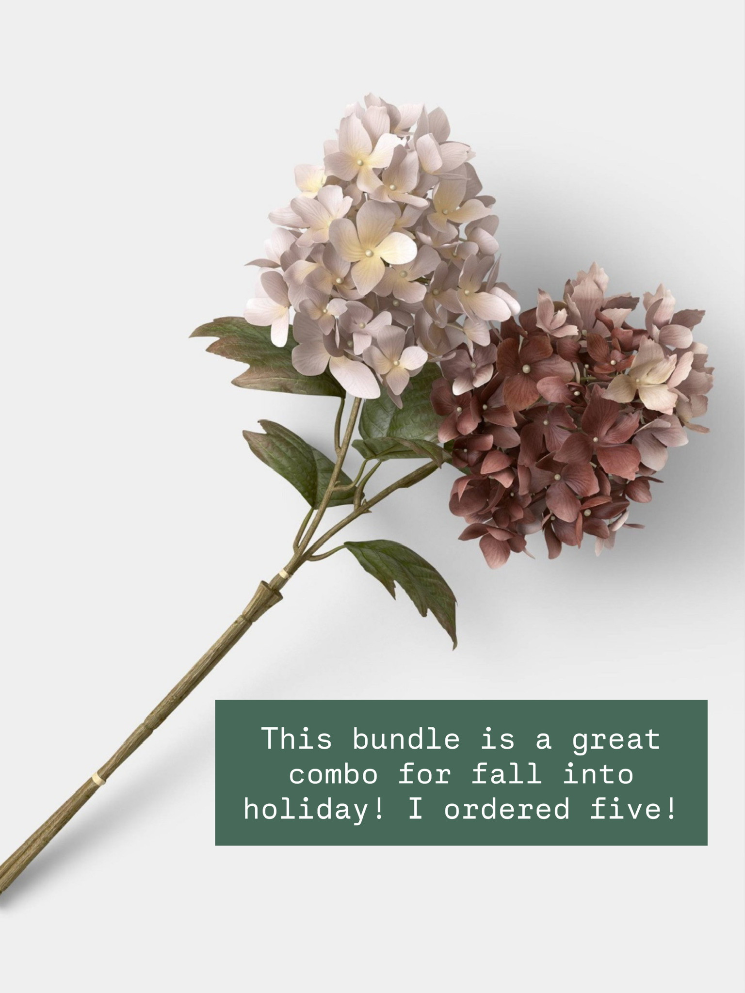 I love really flowers, but it's also nice to have some good faux florals in your house that you don't have to worry about! love the color of these!

Loverly Grey, Target, new arrivals, home, home decor, faux florals 

 #LTKHome
