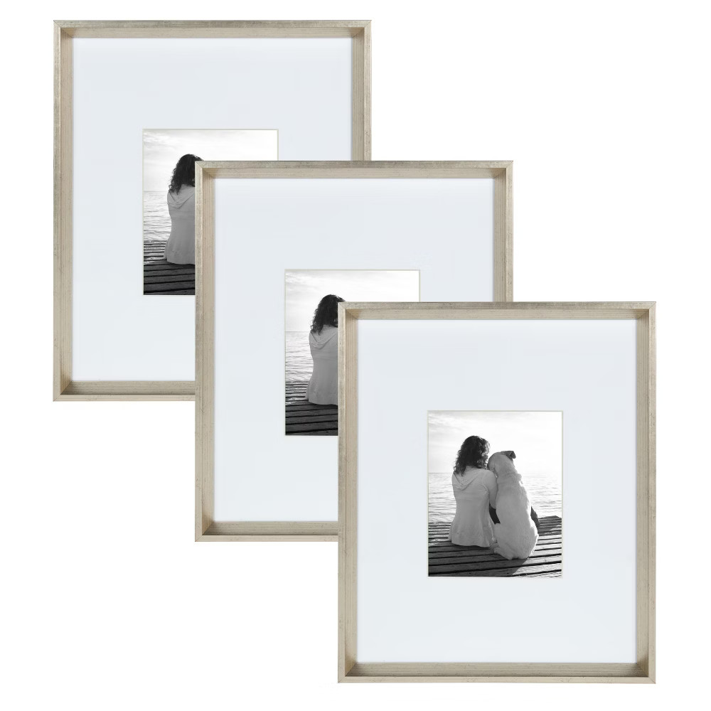 16"" x 20"" Matted to 8"" x 10"" Calter Wall Frame Silver - Kate and Laurel | Target