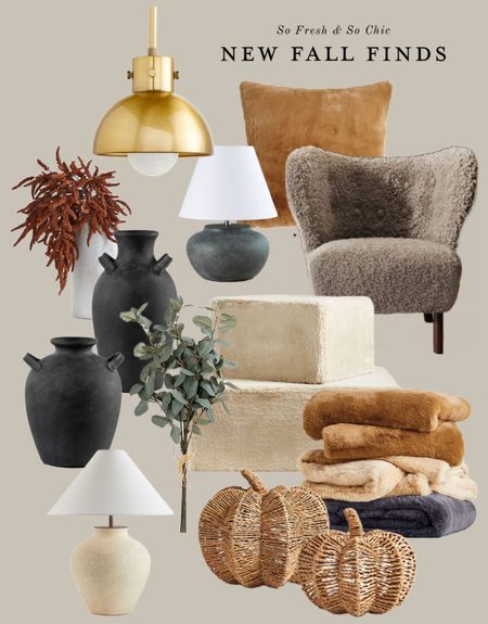 New Fall decor finds!
-
Gold brass pendant lamp - faux fur throw pillow brown - brown boucle textured armchair under $200 - cozy faux fur ottomans - cozy throw blankets - woven rattan pumpkins - white ceramic table lamp with linen shade - black
Ceramic vase with handles - jug vase - decor sale - black table
lamp with white shade - faux eucalyptus stems - faux branches large - olive green boucle arm chair under $200 - Amazon home - Kirkland home - crate and barrel


#LTKsalealert #LTKfindsunder100 #LTKhome