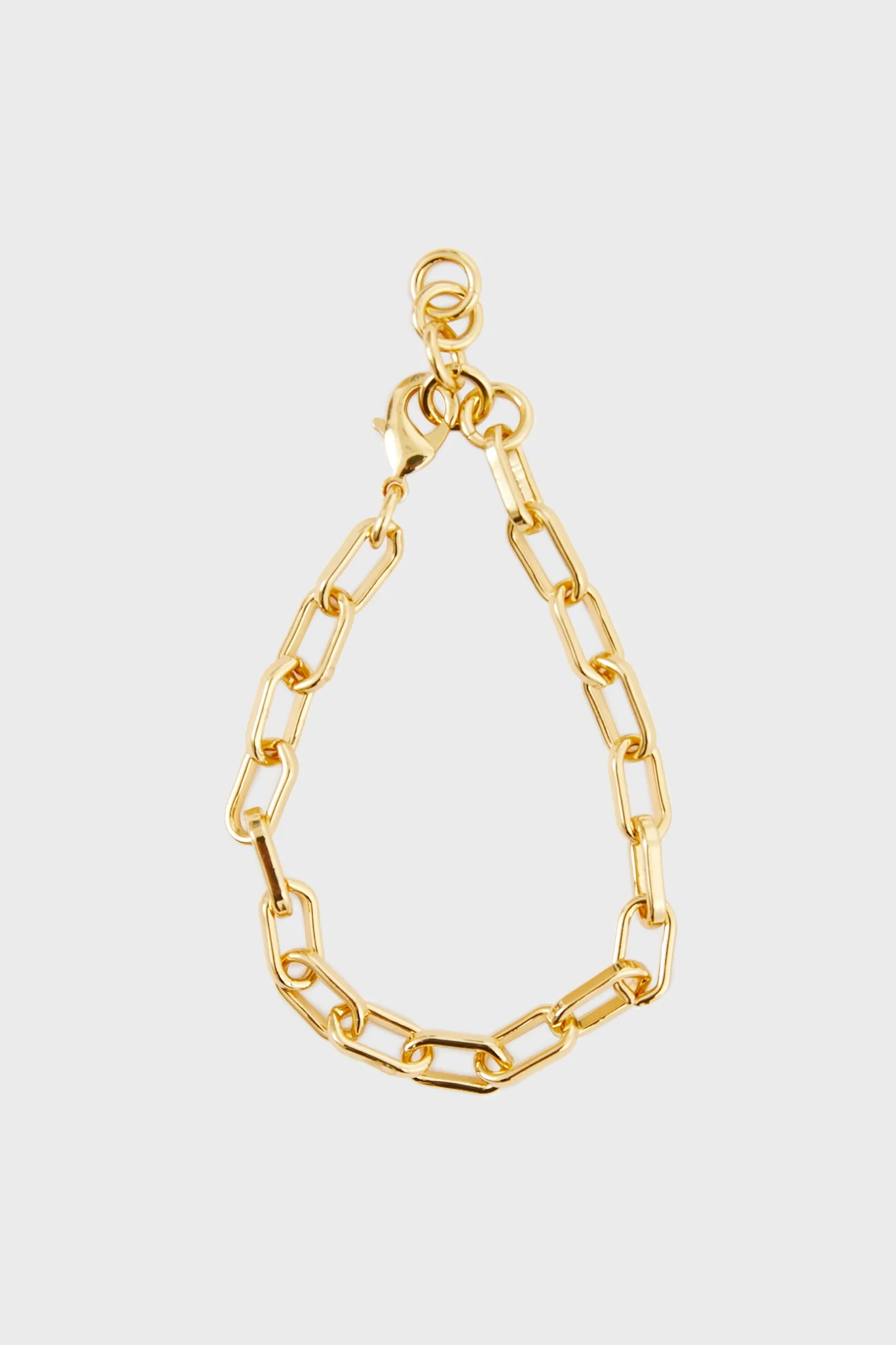 Gold Paperclip Chain Link Bracelet | Tuckernuck (US)