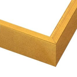 Gold Leaf Canvas Floater Frame | Picture Frames