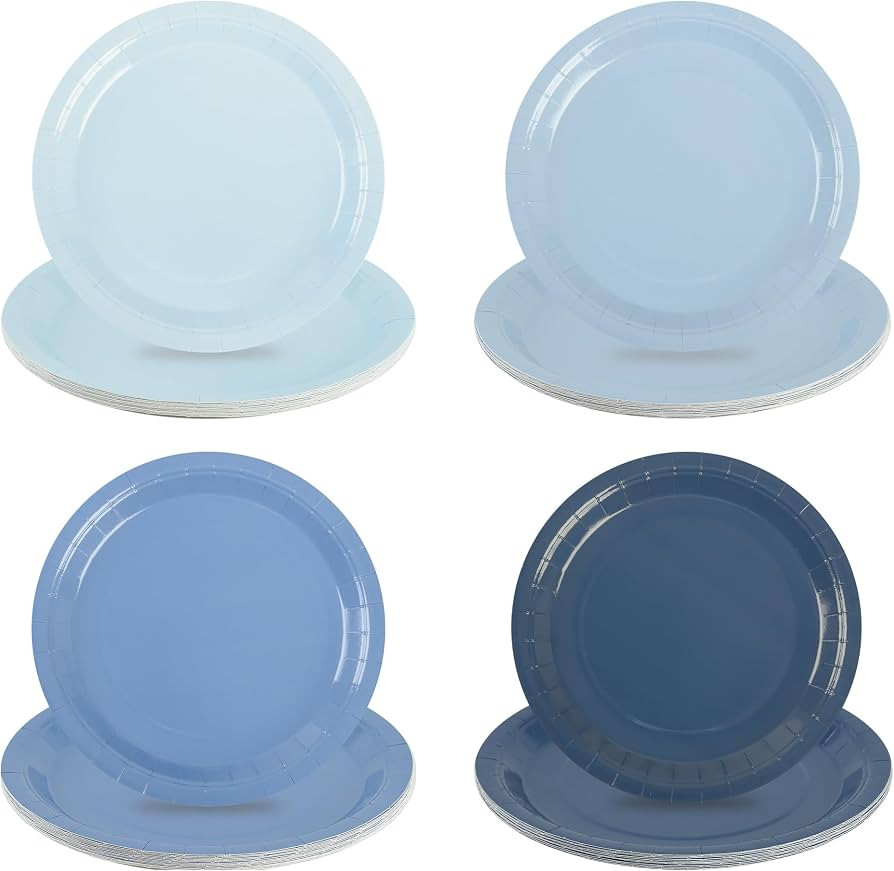 AimFun 48Pcs Dusty Blue Paper Plates Gradient Blue Party Plates 9 Inch Disposable Pastel Birthday... | Amazon (US)