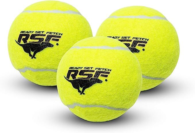 Franklin Pet Supply Squeaky - Ready Set Fetch Dog Toy Tennis Balls with Squeaker - Perfect Pet To... | Amazon (US)