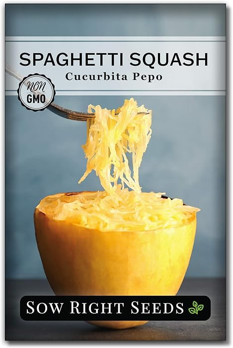 Sow Right Seeds - Spaghetti Squash Seeds for Planting - Non-GMO Heirloom Packet with Instructions... | Amazon (US)