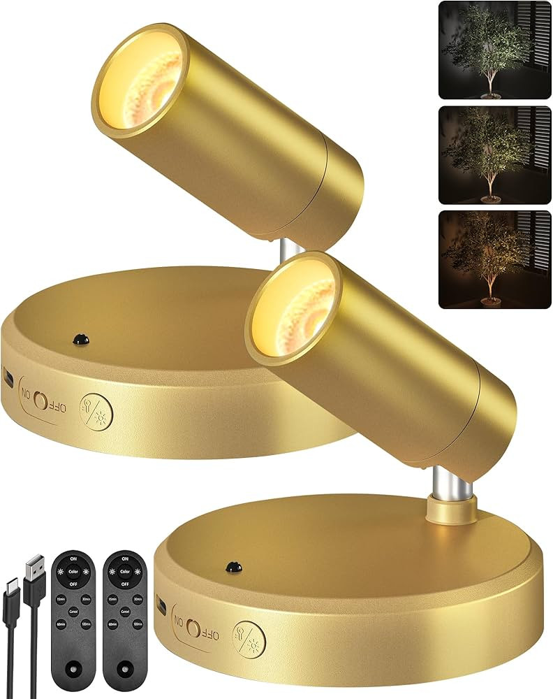 EZVALO LED Spotlight Indoor, 5500mAh Rechargeable Battery Uplighting Indoor, Wireless Mini Art Ac... | Amazon (US)