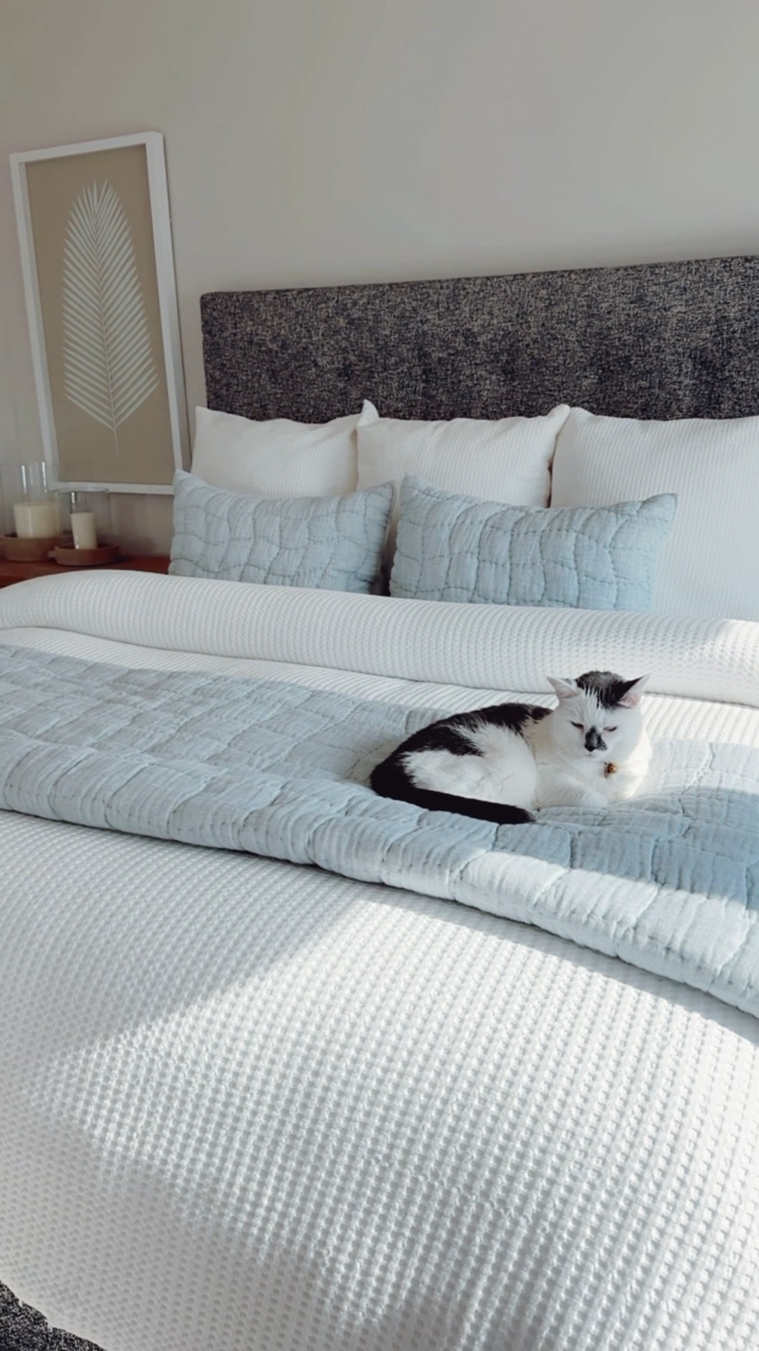 COASTAL HOME DECOR + BEDDING ON SALE! 

modern coastal home, master bedroom, beach home, white bedding, white comforter, blue bedding, pottery barn, Florida home, coastal bedroom, duvet, cozy, bright, airy, driftwood, natural wood nightstand, bedroom furniture, neutral bedroom, chandelier, candles, console table styling 

#LTKSeasonal #LTKSaleAlert #LTKHome