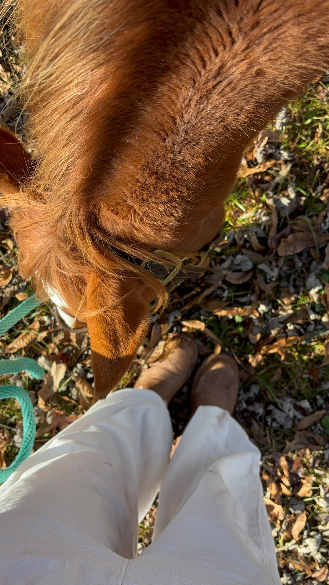 After church morning with my girl. Farm life

#LTKHome #LTKmomlife #LTKGiftGuide