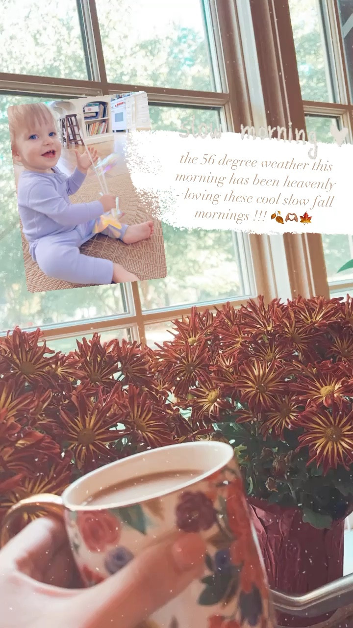 the 56 degree weather this morning has been heavenly - loving these cool slow fall mornings !!! 🍂🫶🏽🍁

#LTKSeasonal #LTKfamily #LTKbaby