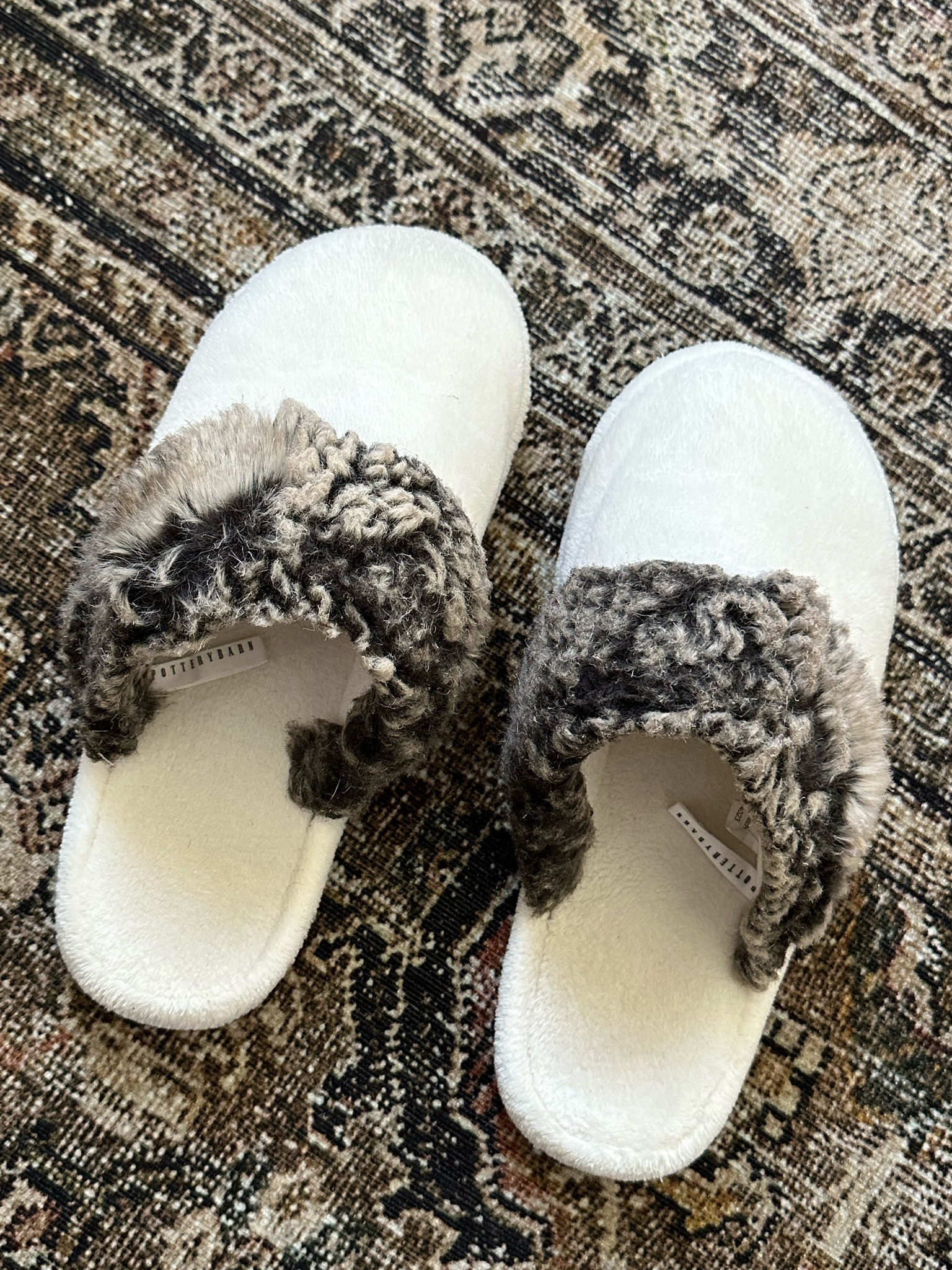 Shared these last year but sharing them again! These are my favorite cozy house slippers ever! They are extremely soft and comfortable and you can throw them in the wash and they’ll be brand new again!

Great for the upcoming holiday season for gifting or if you’d like to buy a pair for yourself 🤍

Gifting season, house slippers, cozy slippers, holiday gifts, holiday season, pottery barn finds

#LTKSeasonal #LTKGiftGuide #LTKHoliday
